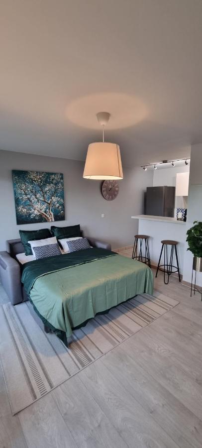 Olympic Games Jo 2024 Easy Access Apartment Louvres 外观 照片